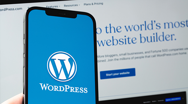 Wordpress Guide